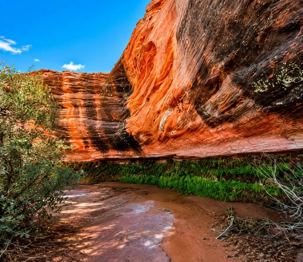 Hanging Garden Trail