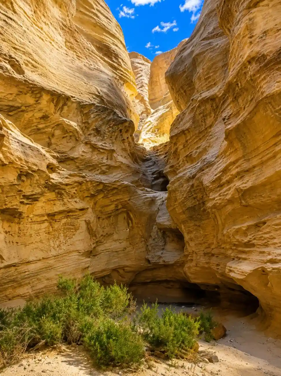 Wiregrass Canyon