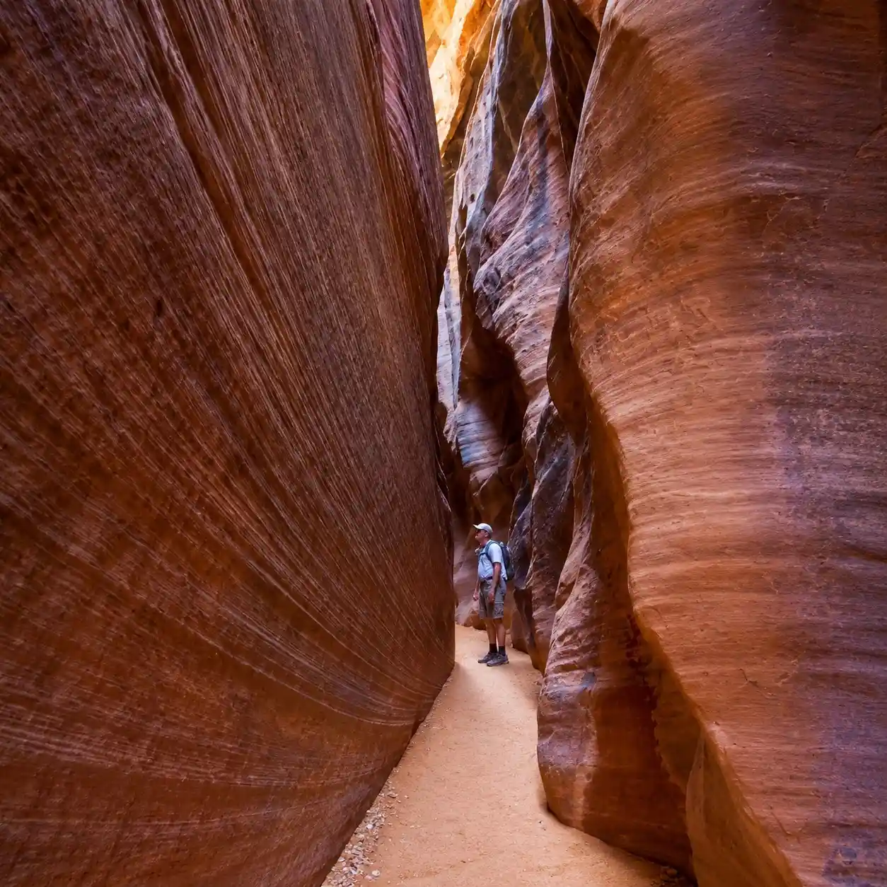Wire Pass Trail